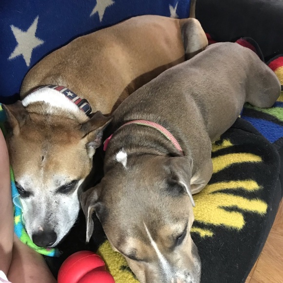 Meet your Posher, Christine - Picture 2 of 4